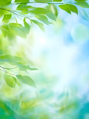 Fototapeta premium green leaves in the sun