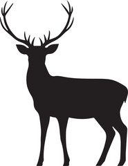 silhouette of deer