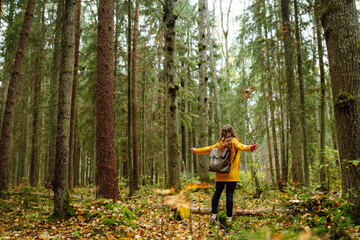 Young woman walks through a pine forest, restoring health and psyche in nature. Forest baths. Active lifestyle.