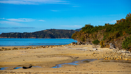 panorama of Sandy Bay in Abel Tasman National Park, New Zealand South Island; start of famous coastal trail in Marahau