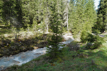 Fototapeta premium Natural landscape of rocky waterfall creek among green forest park and snowcapped mountain ridge