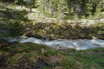 Natural landscape of rocky waterfall creek among green forest park and snowcapped mountain ridge