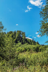 Landscapes - Forest - Europe, Romania, Suceava region