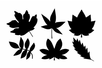 Obraz premium Black autumn leaves silhouette design.