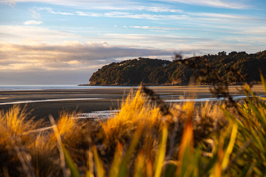panorama of Sandy Bay seen from Marahau at sunrise - the start of famous Abel Tasman Coast Track in New Zealand South Island