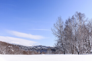 北海道夕張市、真冬の鹿島地区の雪景色【1月】