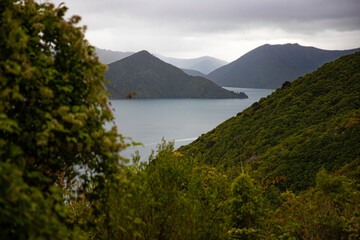panorama of picton coastline, new zealand south island; beautiful green hills, small bays and little island; the view from the bobs bay reserve, snout track