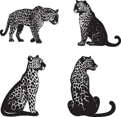 Set of Leopard Silhouette vector 