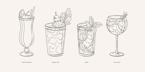 Mojito, Gin & Tonic, Sex on the beach, Bloody Mary. Set of popular alcoholic cocktails in linear style. Illustration for drinks cards, bar and wedding menus, cards and website graphics.