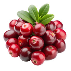 Obraz premium Cranberry with green leaves isolated on white. Ai generated