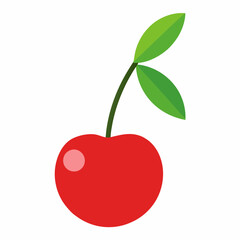 cherry on a branch vector