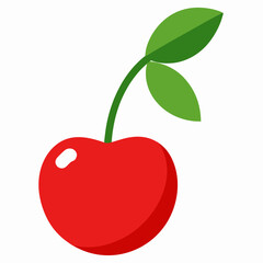 cherry on a branch vector