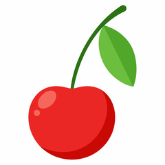 cherry on a branch vector