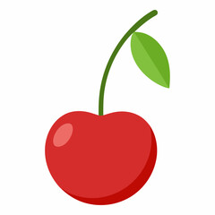 cherry on a branch vector