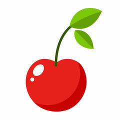 cherry on a branch vector