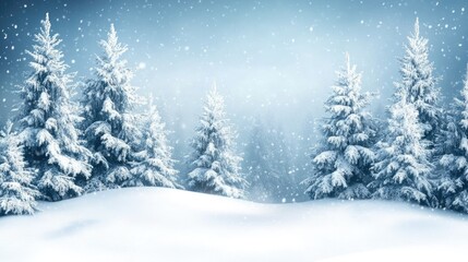 Winter Christmas Forest Trees Snowfall