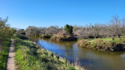 Laguna