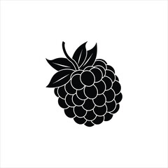 illustration of a raspberry