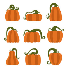 Pumpkin flat illustration set isolated on white background