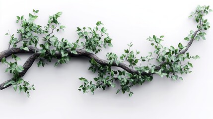 Obraz premium realistic twisted jungle branch with plant growing isolated on a white background