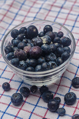 glass bowl of Moldy blueberries on checked towel . High quality photo