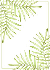 Hand drawn watercolor green palm tree leaves post card frame border isolated on white background. Can be used for card, invitation, scrapbook and other printed products.