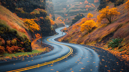Naklejka premium road in autumn