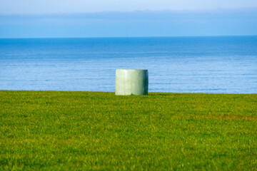 Packaged Silage Hay Bales - New Zealand