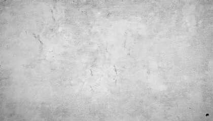 Obraz premium Abstract Texture of Light Grey Woven Stone Wall Surface with Subtle Variations in Tone and Soft Brushstroke Patterns for Background Design Creative Art Projects. Poster Banner Background With Copy 