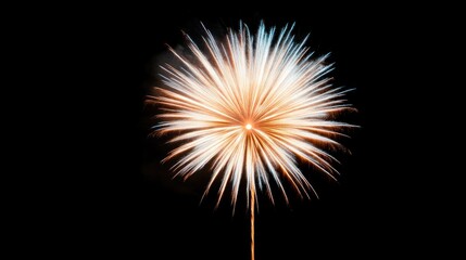 Fototapeta premium Golden Fireworks Sparkle at Midnight