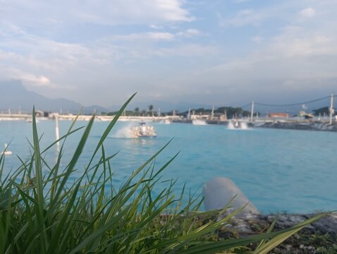 Fish pond tambak with blue water and clear sky.