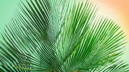 Obraz premium Green palm fronds delicately framing a gradient background, perfect for a tropical and calming design