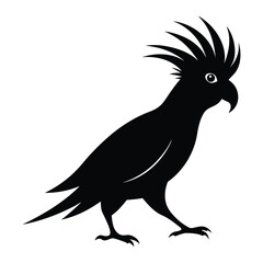 Illustration of Cockatoo silhouette on white