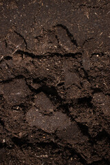 Soil close-up. Soil for planting plants. Copy space. Soil texture