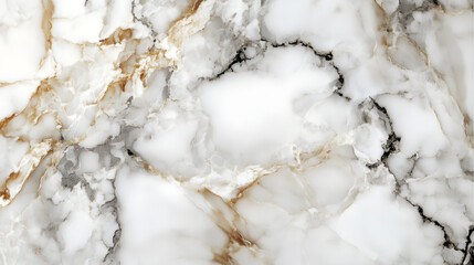 White and black marble texture background
