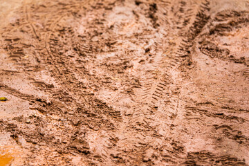 A muddy road with tire tracks. The muddy road and tire tracks give the impression of a rough and challenging terrain