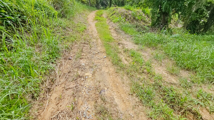 Rough gravel road passing through green forest. Dirt road with mud in valley. 