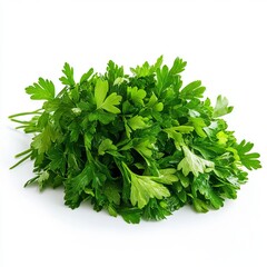 Fototapeta premium Close up of green leaves of parsley on an isolated white background 