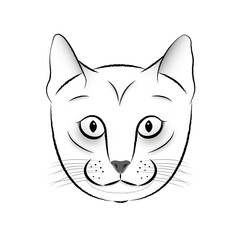 gatto stilizzato