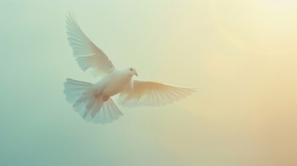 Naklejka premium A white dove in tranquil flight set against a gentle, hazy sunrise, symbolizing peace and hope.