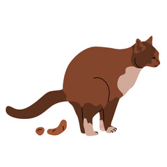 Pooping cat. Maintenance and care of pets. Responsibility for the pet and the environment. Vector cartoon illustration isolated on a transparent background.