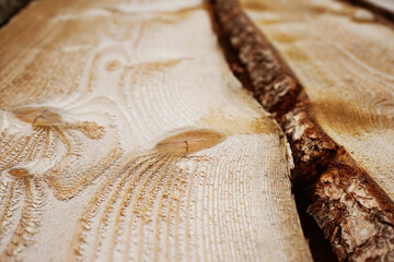 Texture of wooden boards close up
