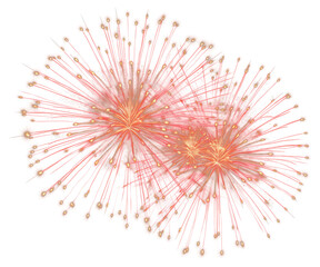 PNG Vibrant fireworks burst night sky