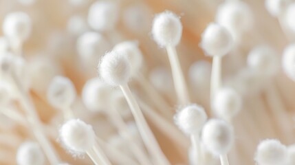 An extreme close-up of delicate white fungi, highlighting their intricate, fluffy texture and unique beauty.