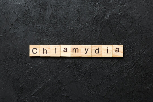 chlamydia word written on wood block. chlamydia text on table, concept