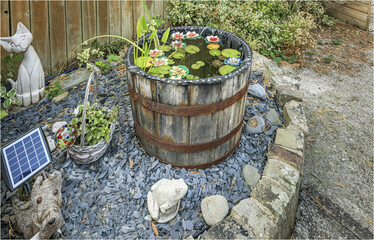 Garden pond made out of an old wine barrel