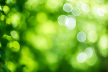 Obraz premium Green bokeh background from nature forest