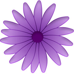 purple flower