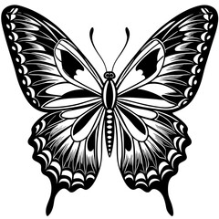 Black butterfly silhouettes. Outline butterflies romantic tattoo, tropical insects stencil. Summer and spring exotic symbols isolated vector set