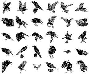 Set Of Crow Glyph Vector Symbols Apps, Websites Ui Designs Suitable For Raven,Bird,Crow,Corvus,Animal Simple Black Style Symbol Sign For Apps And Website, Vector Illustration